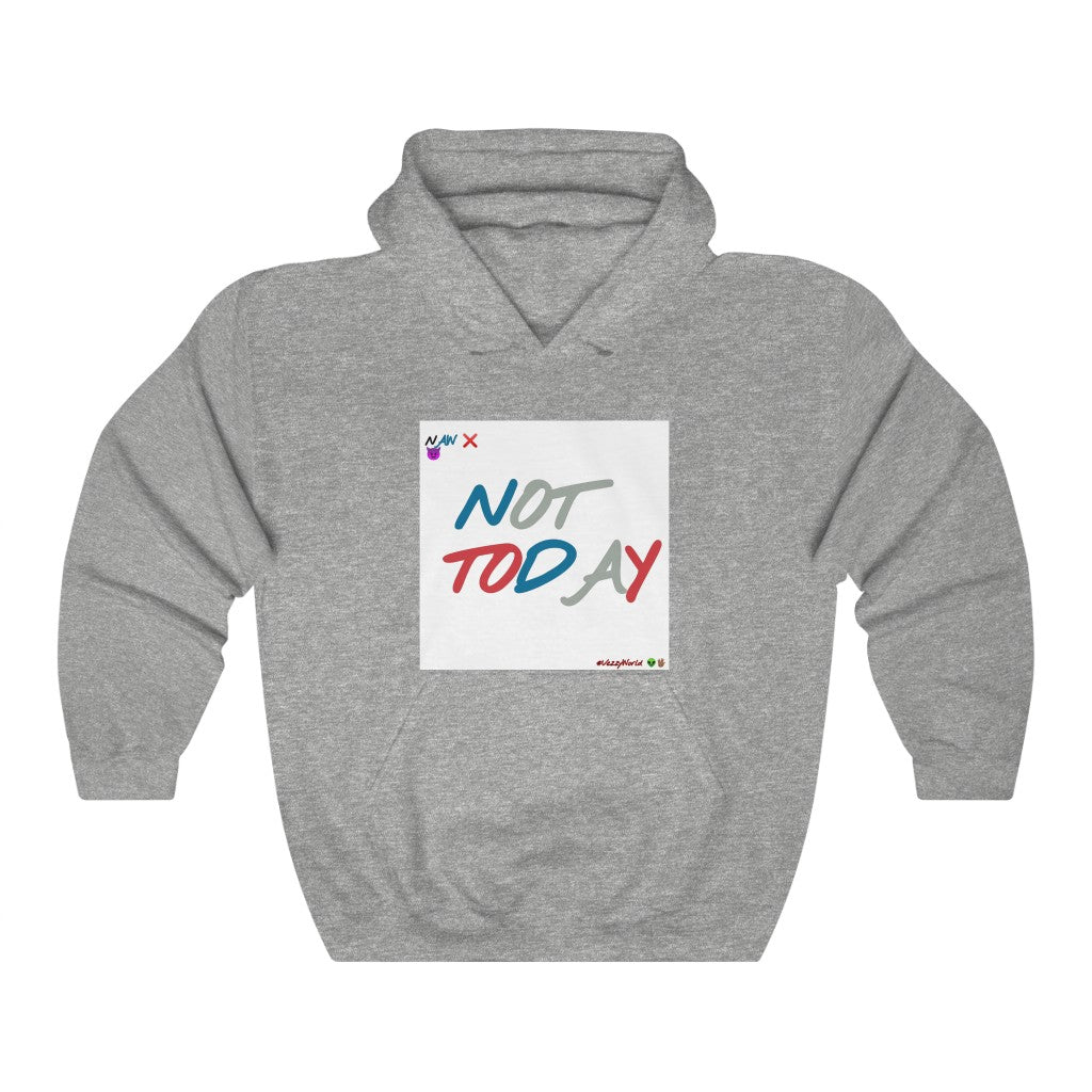 J- 4's "Not Today" ™ Hoodie #VezzyWorld 👽🖖🏾 - VezzyWorld