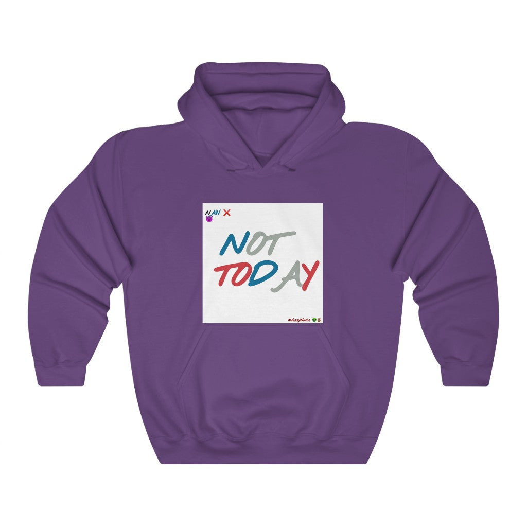 J- 4's "Not Today" ™ Hoodie #VezzyWorld 👽🖖🏾 - VezzyWorld