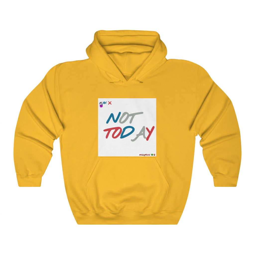 J- 4's "Not Today" ™ Hoodie #VezzyWorld 👽🖖🏾 - VezzyWorld